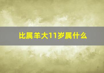 比属羊大11岁属什么