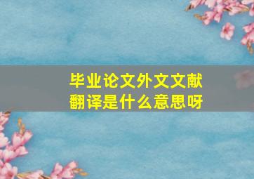 毕业论文外文文献翻译是什么意思呀