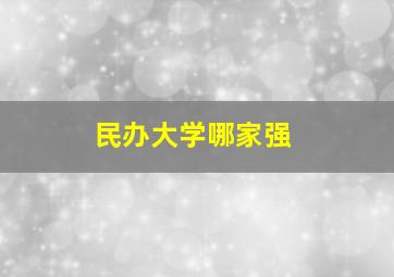 民办大学哪家强