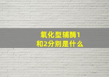 氧化型辅酶1和2分别是什么