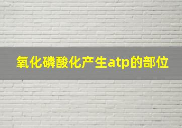 氧化磷酸化产生atp的部位