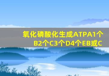 氧化磷酸化生成ATPA1个B2个C3个D4个EB或C