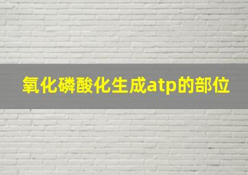 氧化磷酸化生成atp的部位