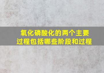 氧化磷酸化的两个主要过程包括哪些阶段和过程