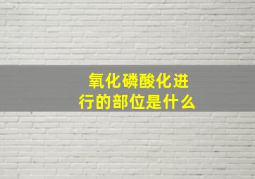 氧化磷酸化进行的部位是什么