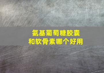 氨基葡萄糖胶囊和软骨素哪个好用