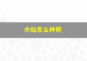 水仙怎么种啊