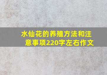 水仙花的养殖方法和注意事项220字左右作文