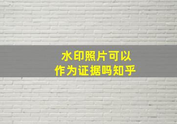 水印照片可以作为证据吗知乎