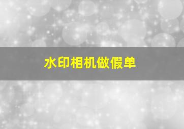 水印相机做假单