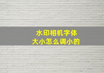 水印相机字体大小怎么调小的