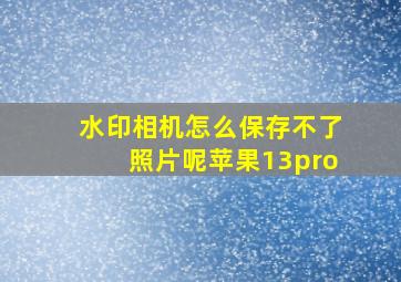 水印相机怎么保存不了照片呢苹果13pro