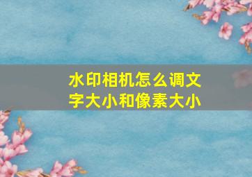 水印相机怎么调文字大小和像素大小