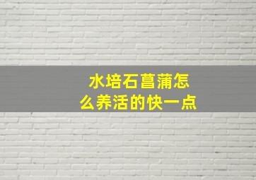 水培石菖蒲怎么养活的快一点