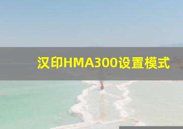 汉印HMA300设置模式