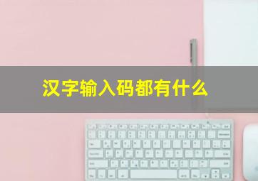 汉字输入码都有什么