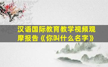 汉语国际教育教学视频观摩报告《你叫什么名字》