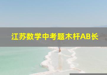 江苏数学中考题木杆AB长