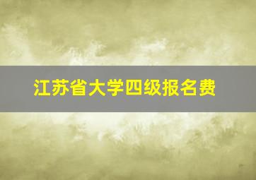 江苏省大学四级报名费