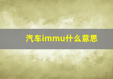 汽车immu什么意思