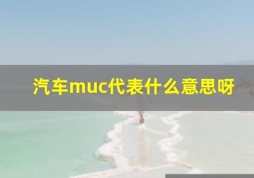 汽车muc代表什么意思呀