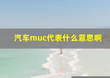 汽车muc代表什么意思啊