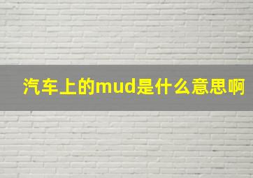 汽车上的mud是什么意思啊