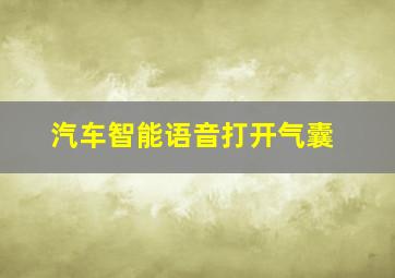 汽车智能语音打开气囊