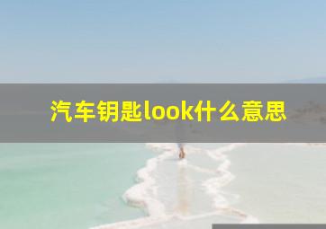 汽车钥匙look什么意思