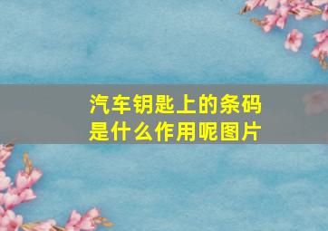 汽车钥匙上的条码是什么作用呢图片