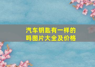 汽车钥匙有一样的吗图片大全及价格