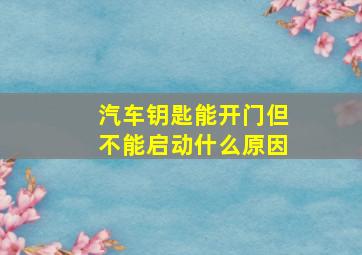 汽车钥匙能开门但不能启动什么原因