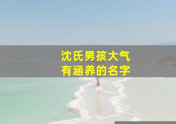 沈氏男孩大气有涵养的名字