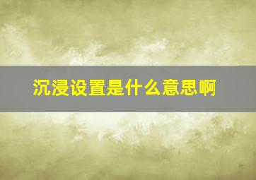 沉浸设置是什么意思啊