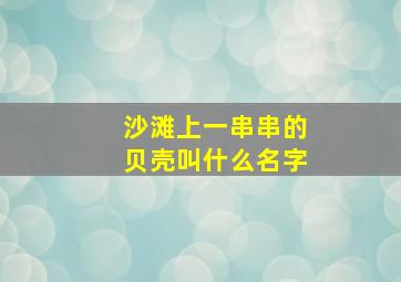 沙滩上一串串的贝壳叫什么名字