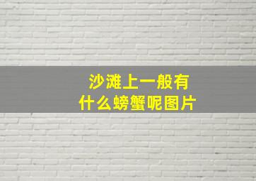 沙滩上一般有什么螃蟹呢图片