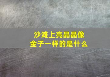 沙滩上亮晶晶像金子一样的是什么