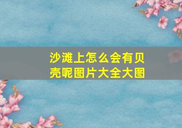 沙滩上怎么会有贝壳呢图片大全大图