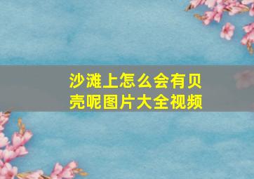 沙滩上怎么会有贝壳呢图片大全视频