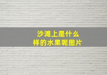 沙滩上是什么样的水果呢图片