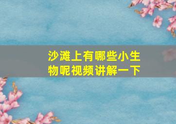 沙滩上有哪些小生物呢视频讲解一下