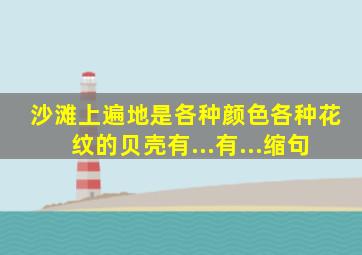 沙滩上遍地是各种颜色各种花纹的贝壳有...有...缩句