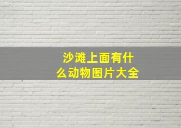 沙滩上面有什么动物图片大全