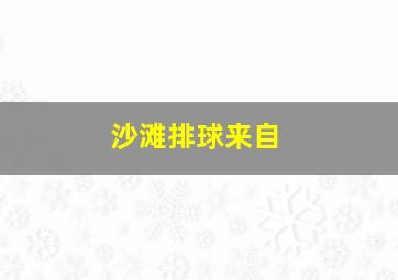 沙滩排球来自