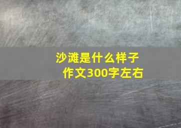 沙滩是什么样子作文300字左右