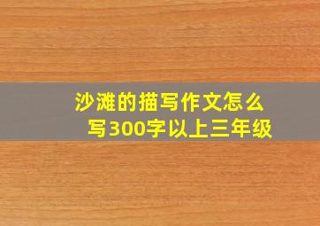 沙滩的描写作文怎么写300字以上三年级