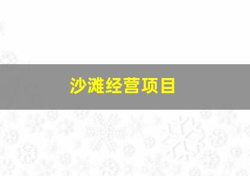 沙滩经营项目