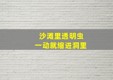 沙滩里透明虫一动就缩进洞里