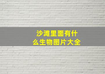 沙滩里面有什么生物图片大全