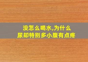 没怎么喝水,为什么尿却特别多小腹有点疼